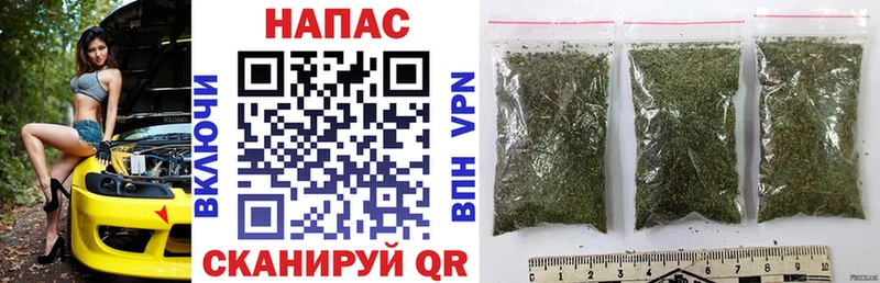 Бошки Шишки White Widow kraken онион Галич